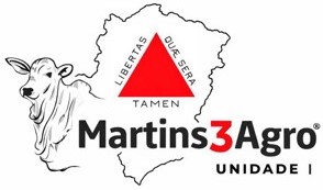 Martins 3 Agro